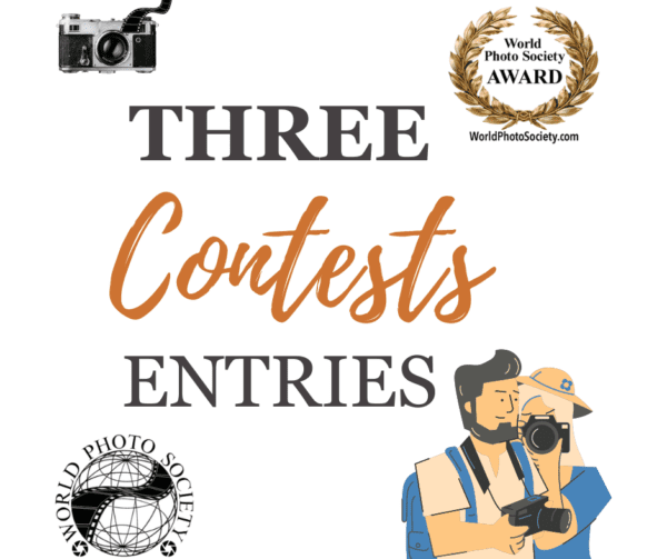 Three Contests Entries